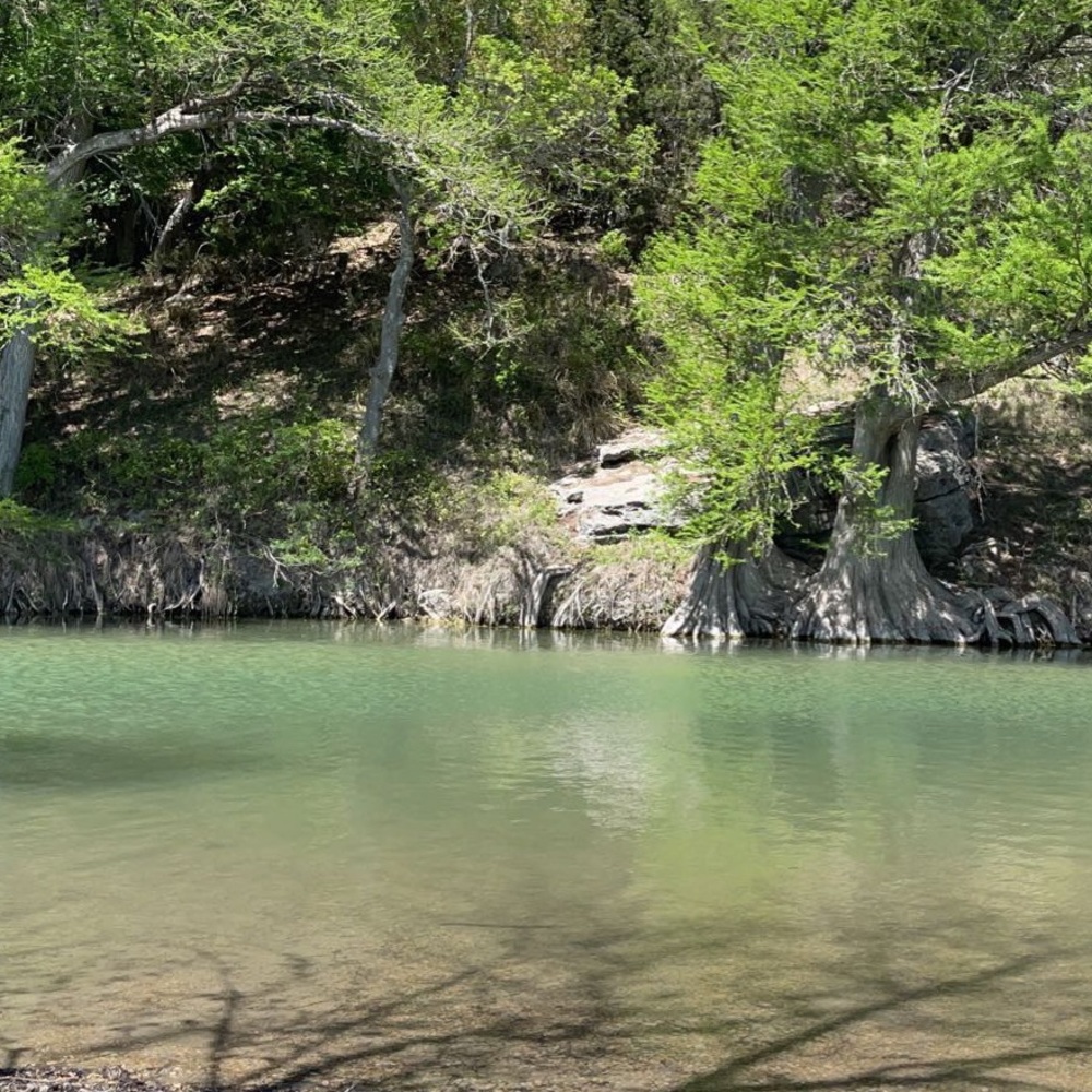 Meet your Posher, Mia